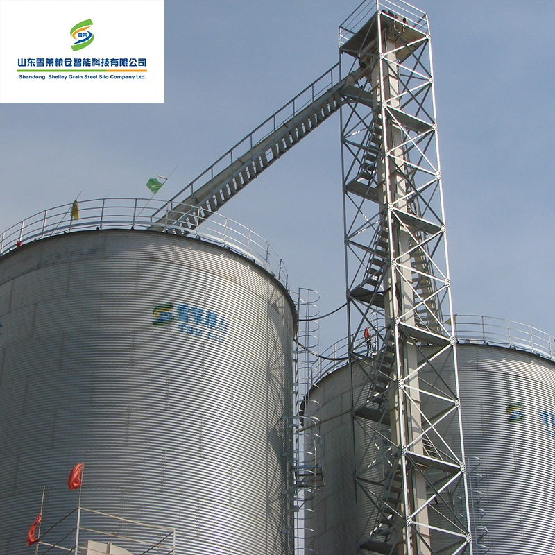 Grain Bucket Elevator Used for Steel Silo Elevator Bucket Factory Price for Sale